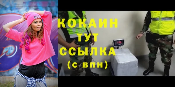 mdpv Снежинск