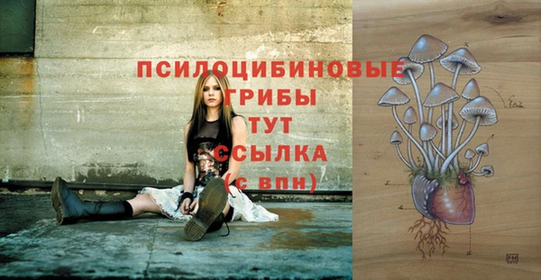 а пвп мука Верхний Тагил